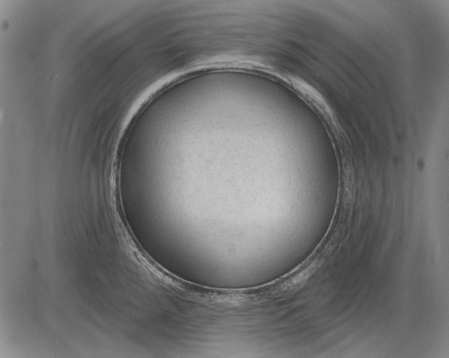 X0000083611288200703051534