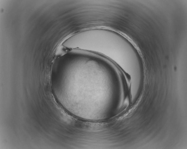 X0000083611289200703051534