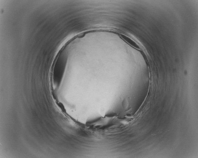 X0000083611291200703051534