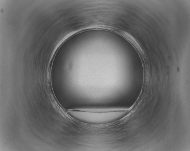 X0000083611292200703051534