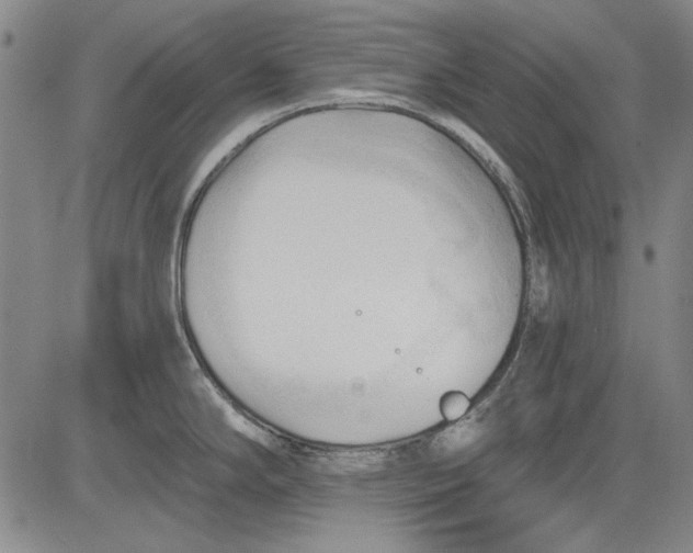 X0000083611294200703051534