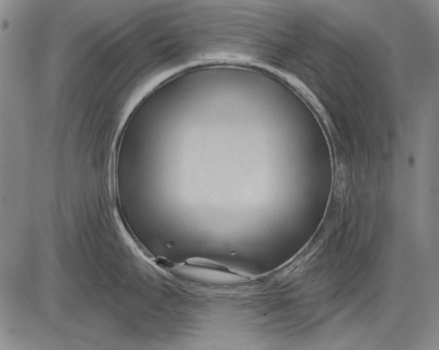 X0000083611295200703051534