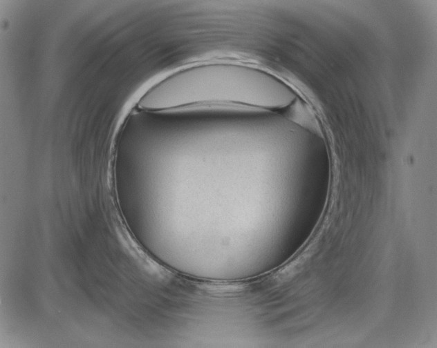 X0000083611296200703051534