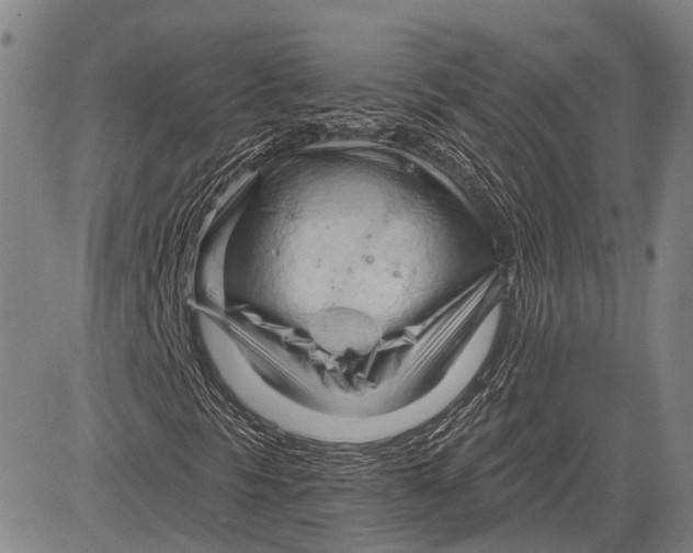 X0000083611297200703051533