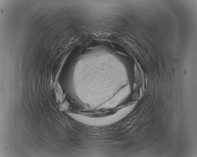 X0000083611298200703051533