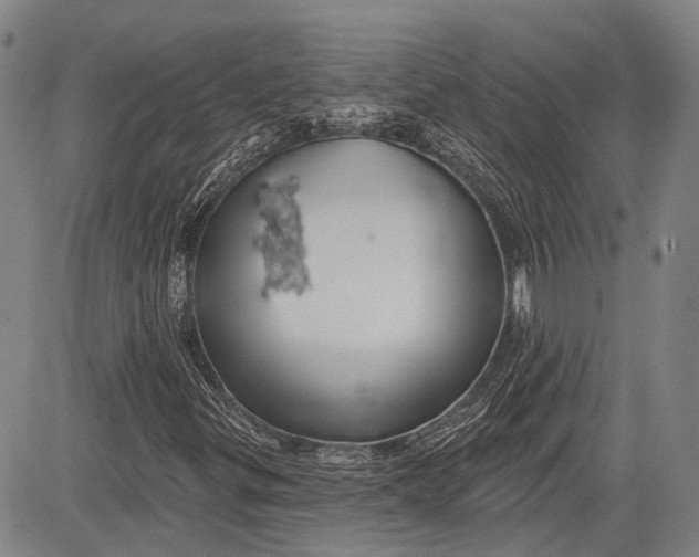 X0000083611299200703051533