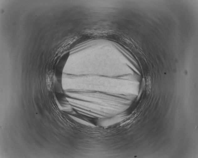 X0000083611300200703051533