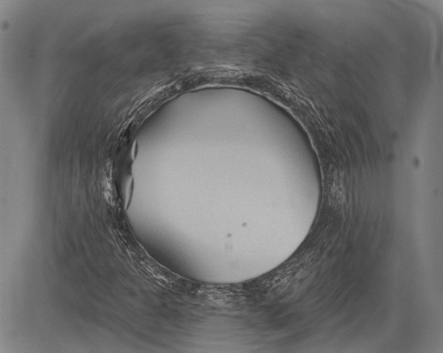 X0000083611301200703051533