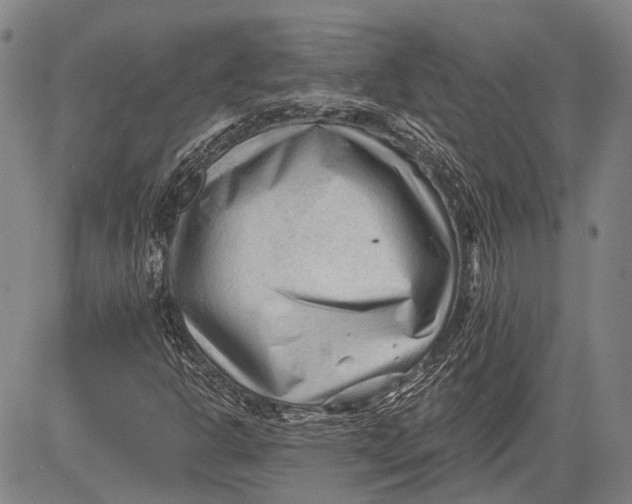 X0000083611302200703051533