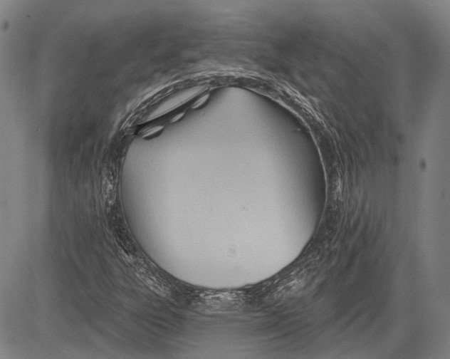 X0000083611303200703051533