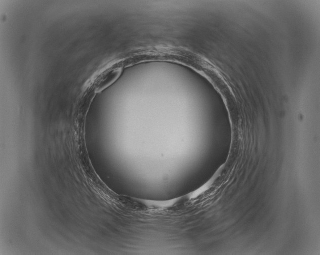 X0000083611304200703051533