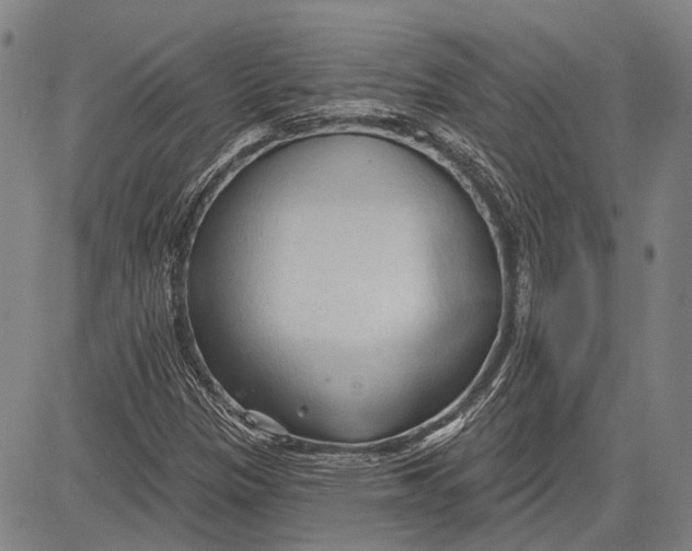 X0000083611305200703051533