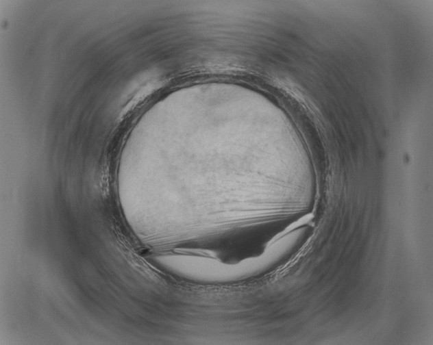 X0000083611306200703051533