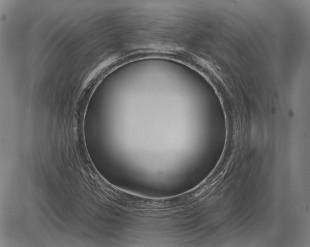 X0000083611307200703051533