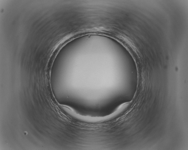 X0000083611308200703051533