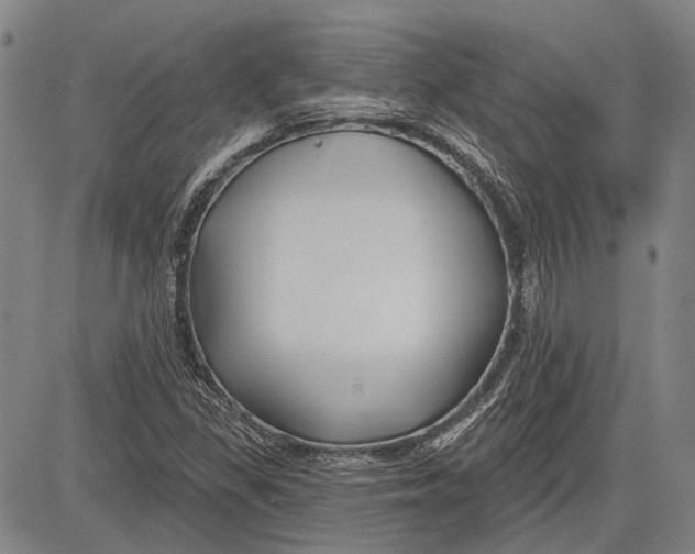 X0000083611309200703051533