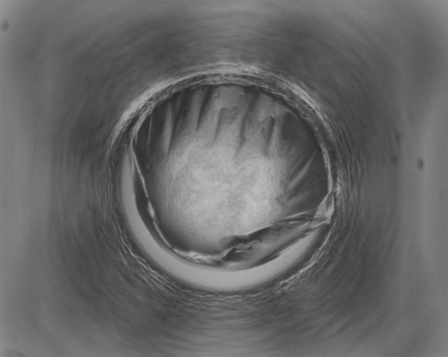 X0000083611310200703051533