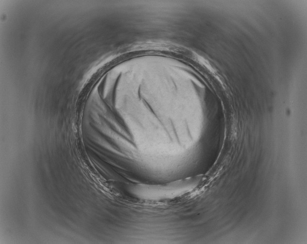 X0000083611312200703051533