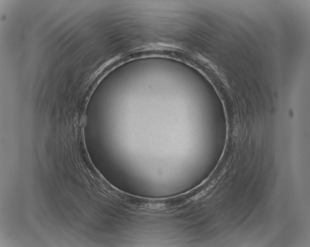 X0000083611313200703051533