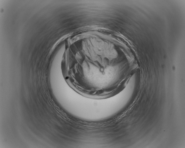 X0000083611314200703051533