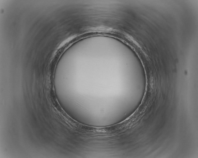 X0000083611315200703051533