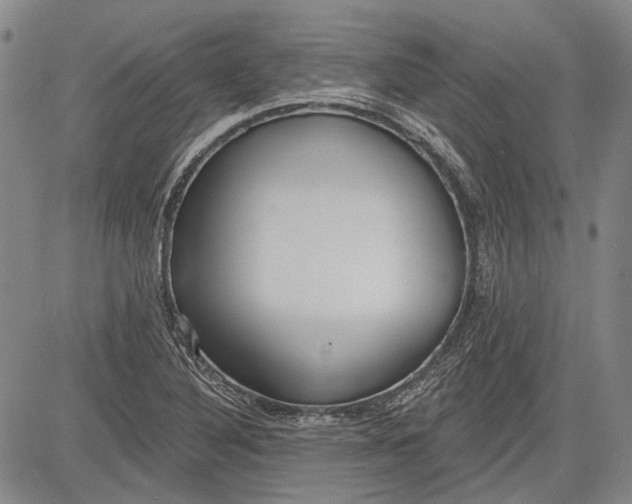 X0000083611316200703051533