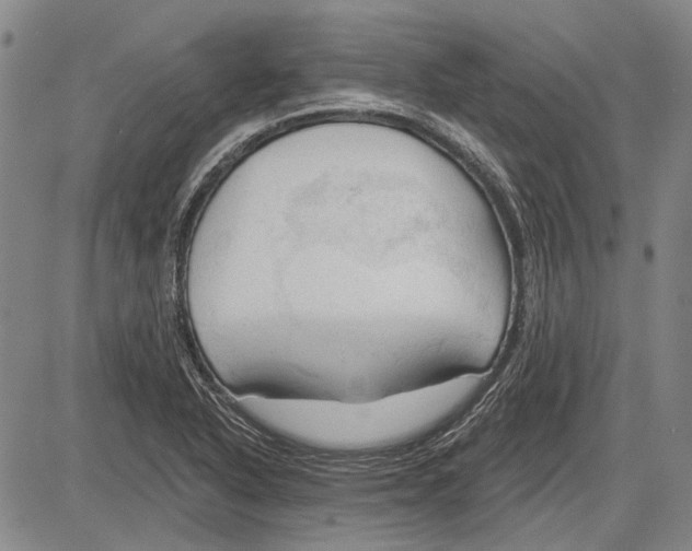 X0000083611318200703051533