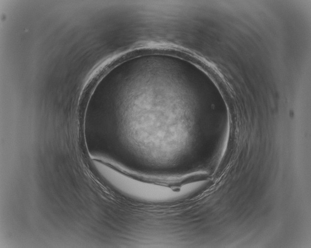 X0000083611319200703051533