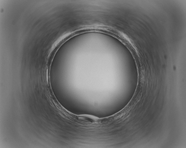 X0000083611320200703051533