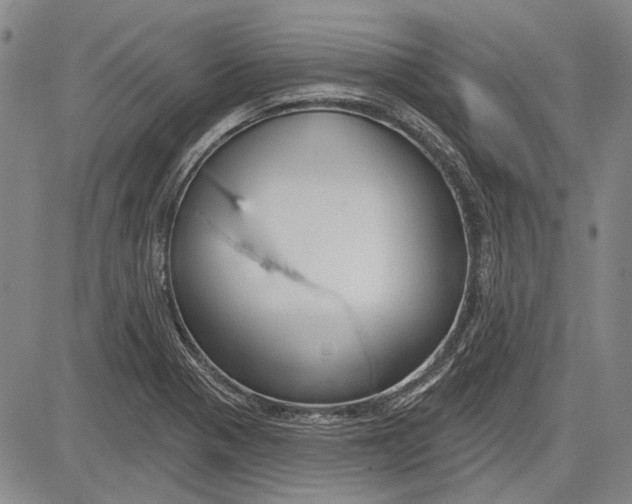 X0000083611321200703051533