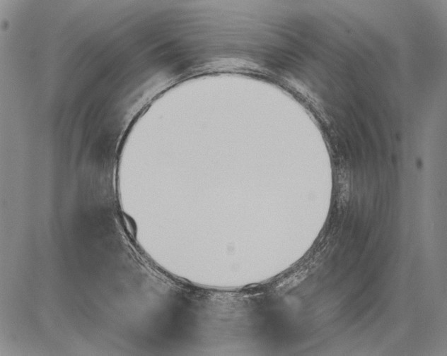 X0000083611322200703051533