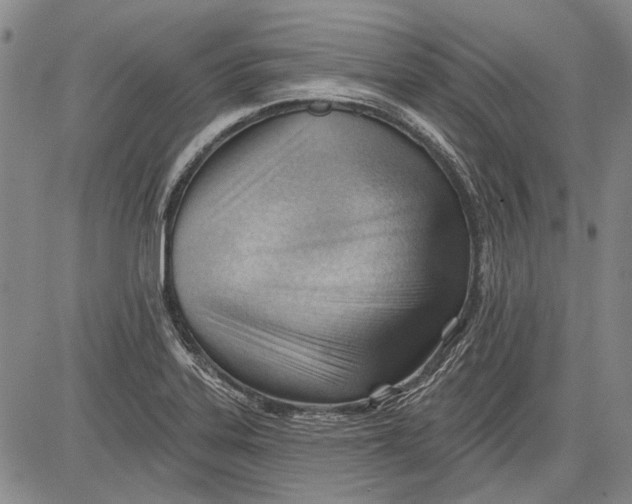 X0000083611323200703051533