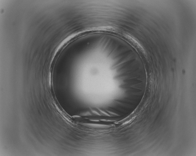 X0000083611324200703051533