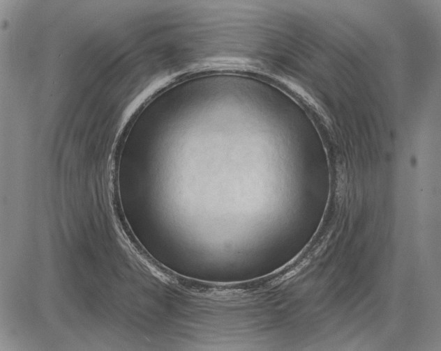 X0000083611325200703051533