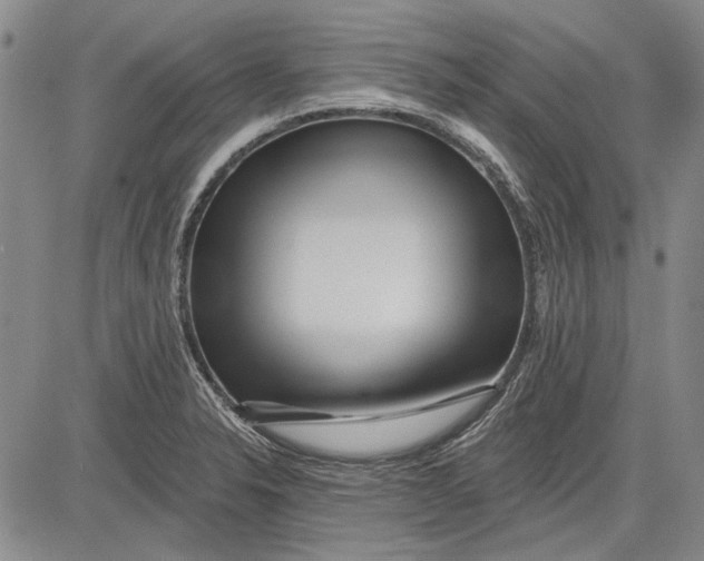 X0000083611326200703051533