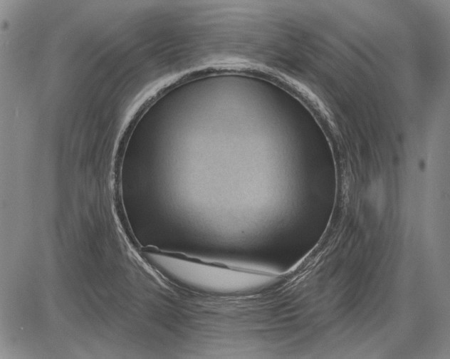 X0000083611327200703051533