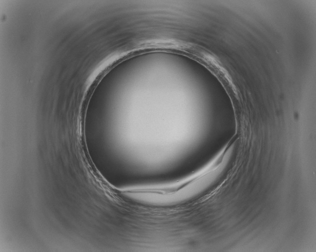 X0000083611328200703051533