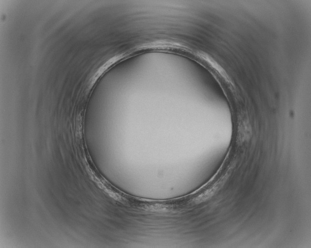 X0000083611329200703051533