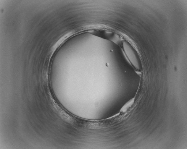 X0000083611330200703051533