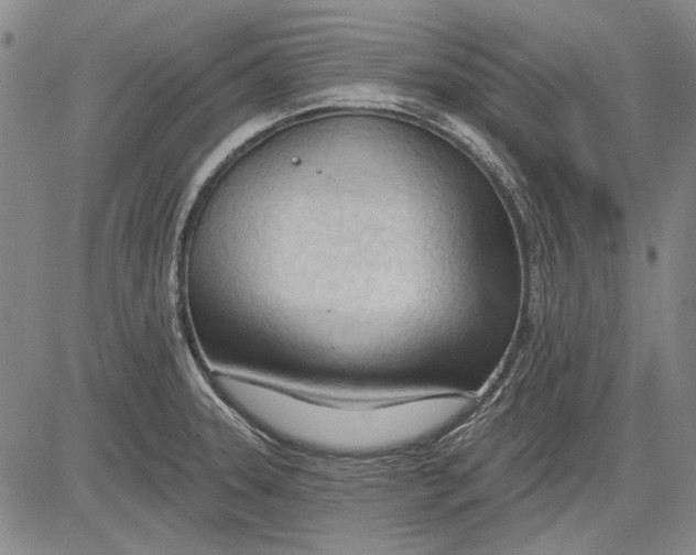 X0000083611331200703051533