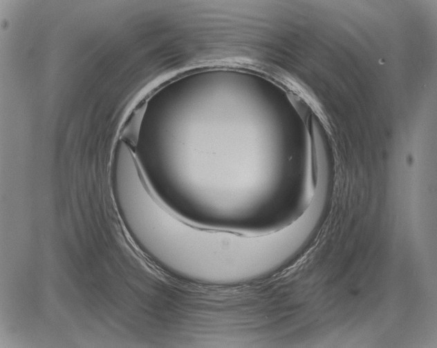 X0000083611332200703051533