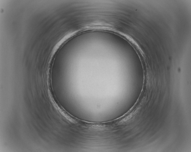 X0000083611333200703051533