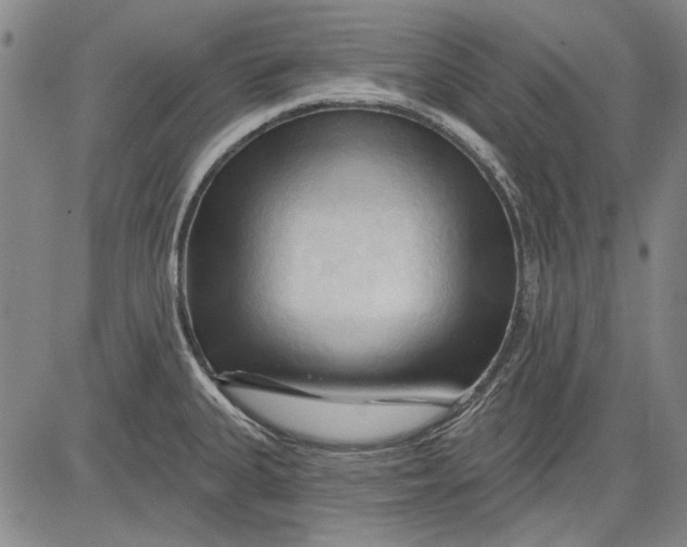 X0000083611335200703051533