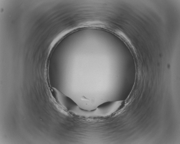 X0000083611336200703051533