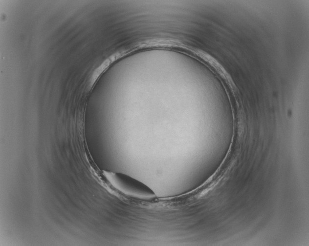 X0000083611337200703051533