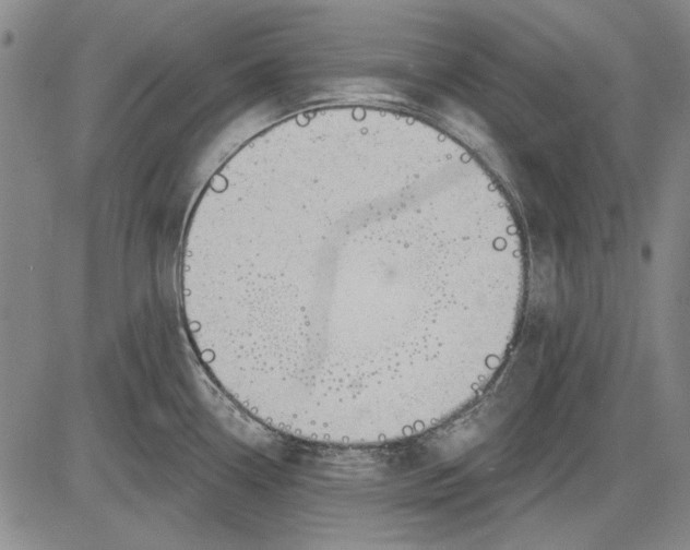 X0000083611338200703051533