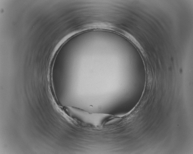 X0000083611339200703051533