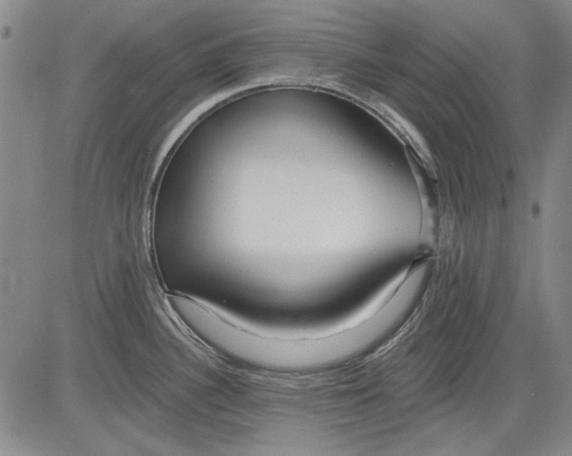 X0000083611340200703051533