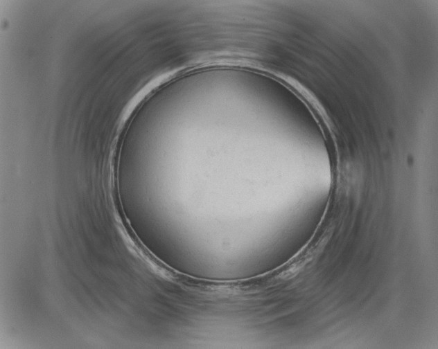 X0000083611341200703051534