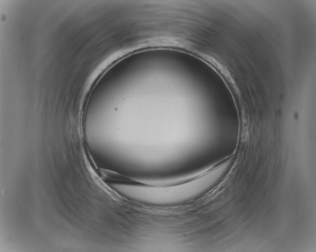 X0000083611342200703051534